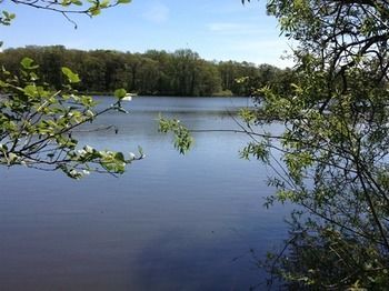Cleveley Mere Luxury Waterside Lodges Scorton  ภายนอก รูปภาพ